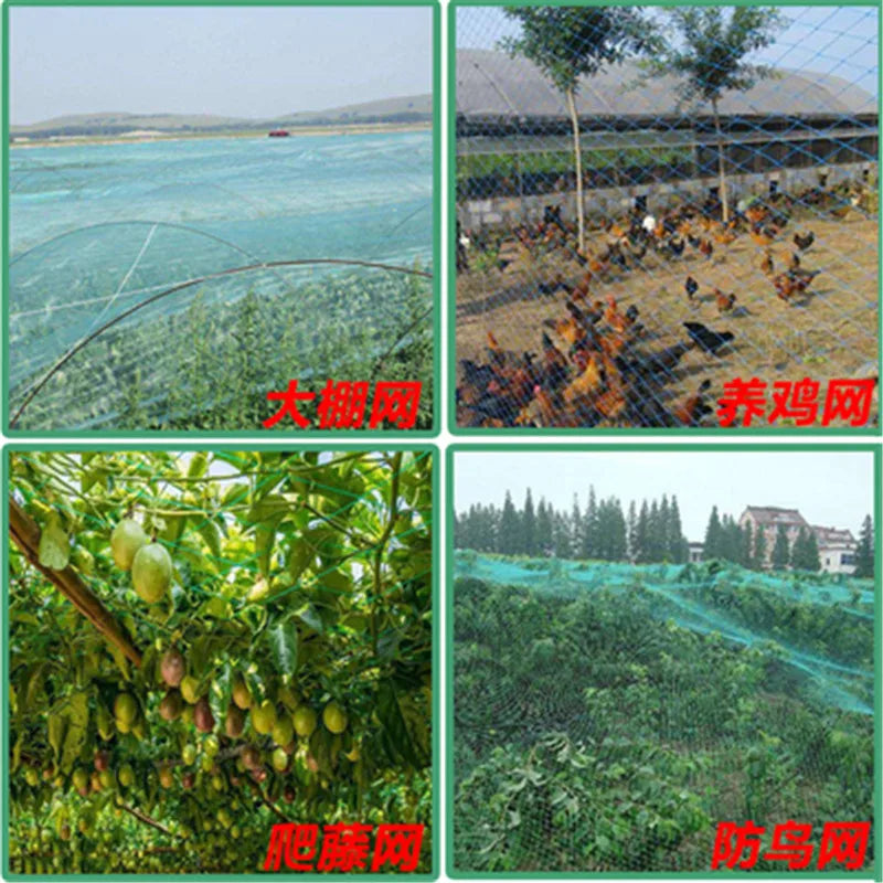 Collage of four images showing different uses of netting: over crops in a field, protecting chickens, supporting hanging fruits, and covering vegetation to deter birds.
