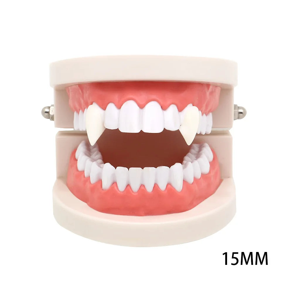 Dental model with pink gums and white teeth, featuring prominent 15mm elongated canines resembling vampire fangs. The model is on a white background.