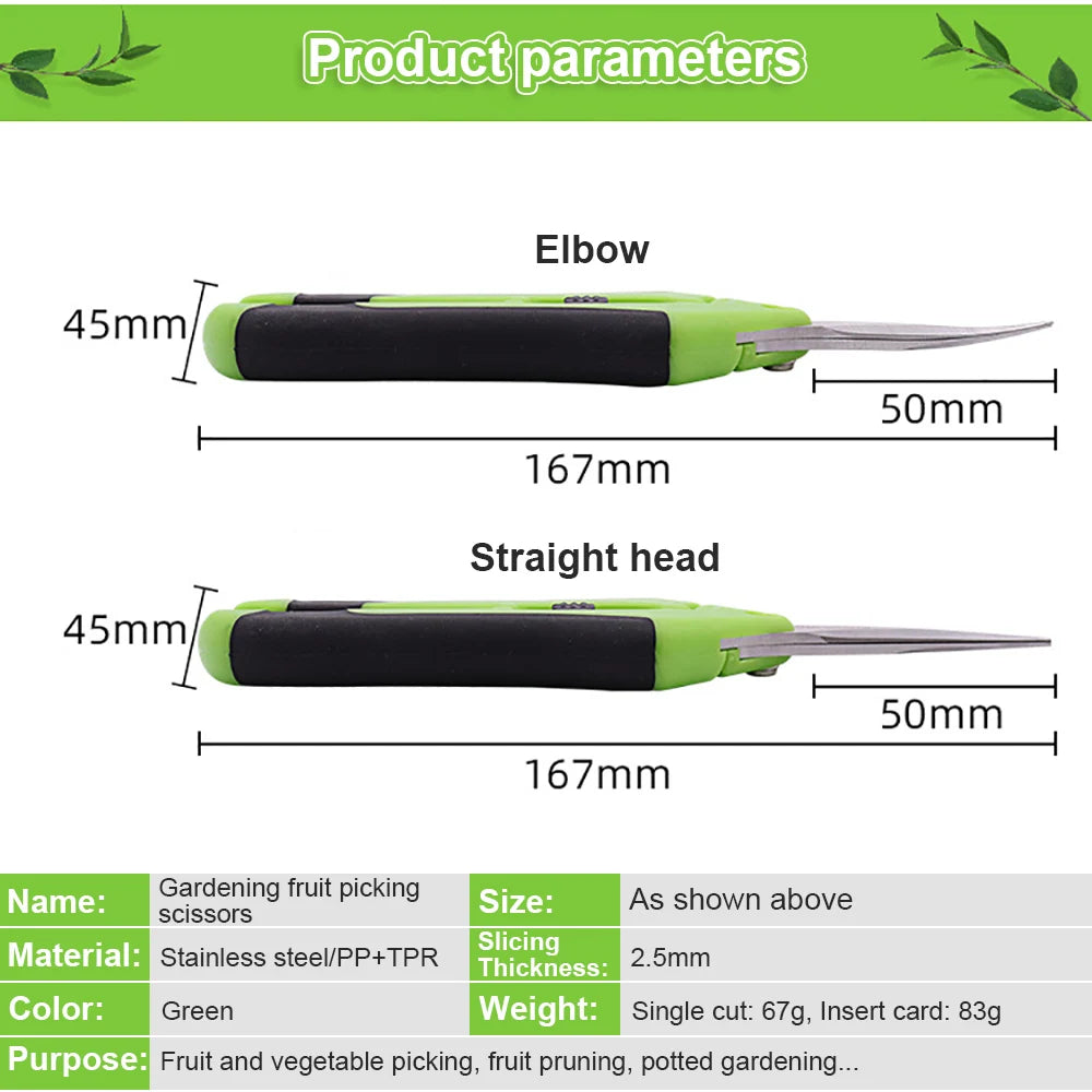 Gardening fruit picking scissors, green, stainless steel/PP+TPR. Dimensions: 167mm long, 45mm handle, 50mm blades. Purpose: fruit and vegetable picking, pruning.