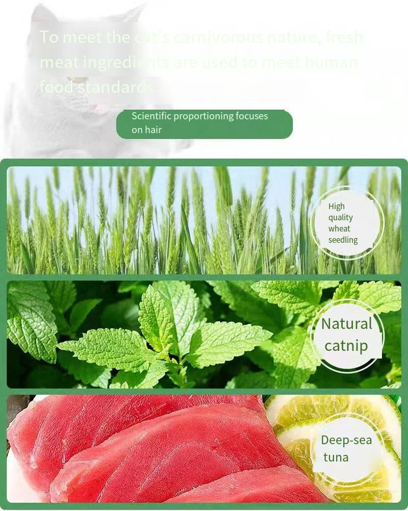 Collage of ingredients for cat food: high quality wheat seedling, natural catnip, and deep-sea tuna. The image suggests scientific focus for meeting cat dietary needs.