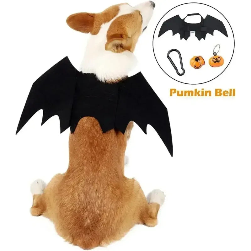 A dog wearing bat wings sits, looking away. Inset shows accessories: a bat wing harness, pumpkin-shaped bells, and a clip. Text: "Pumkin Bell."