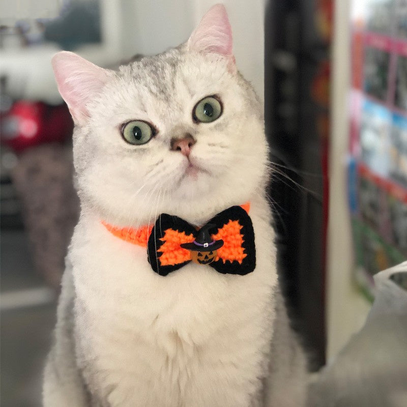 Gray cat with wide green eyes wearing a Halloween-themed bow tie featuring a witch's hat and pumpkin. The background is softly blurred, highlighting the cat.