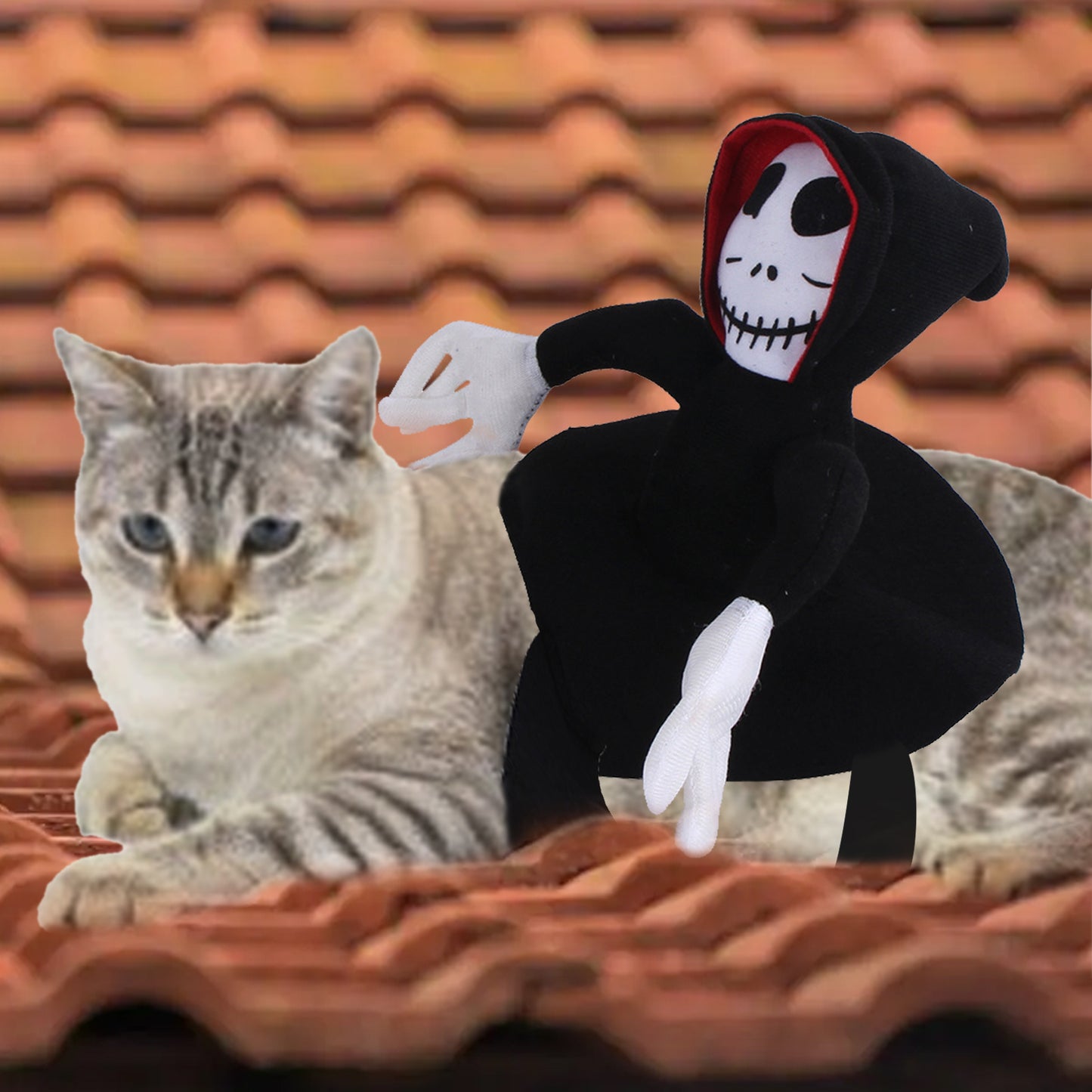 A gray tabby cat lies on a tiled roof with a plush skeleton figure wearing a black hooded cloak beside it. The skeleton has a white face and a playful expression.