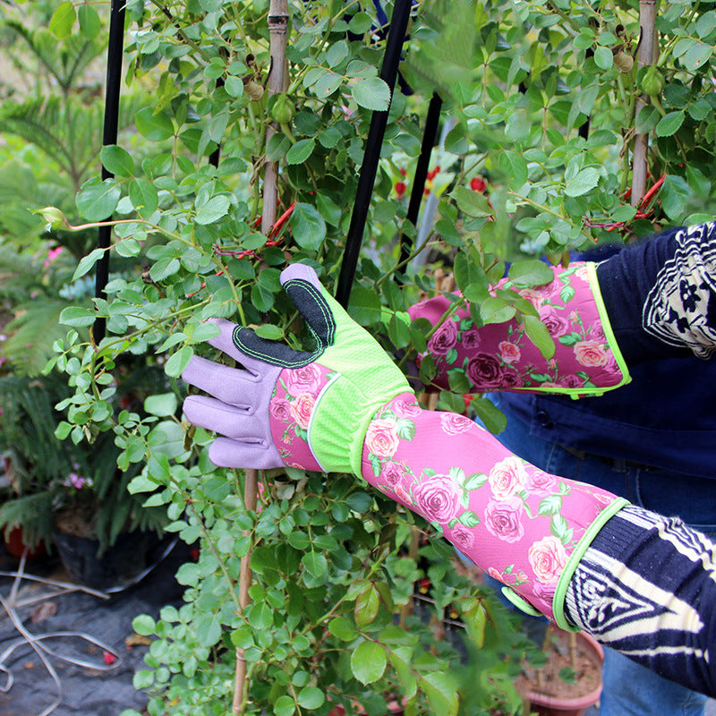 Person wearing floral-patterned gloves, tending to leafy plants in a garden, surrounded by vibrant green foliage and garden tools.