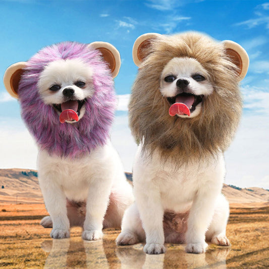 Two small dogs sit on barren land wearing lion manes; one with a purple mane, the other with a brown mane, both with tongues out under a blue sky.