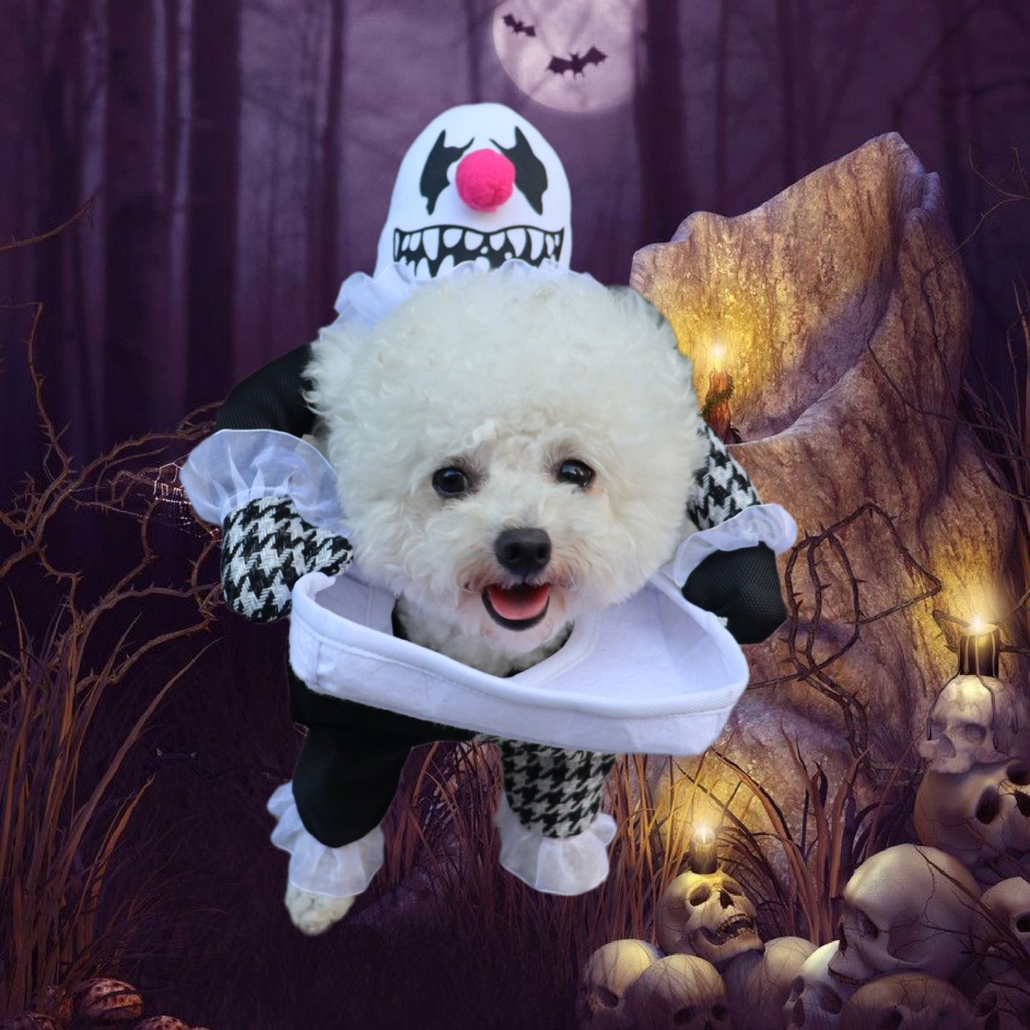 Fluffy white dog dressed as a clown with a spooky forest background, featuring glowing skulls and a full moon with bats.