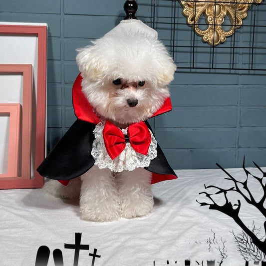 A fluffy white dog dressed as a vampire, wearing a black and red cape with a lace shirt and red bow, sitting indoors with Halloween-themed decor around.