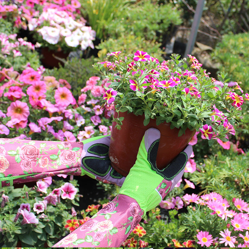 Gardener wearing floral gloves holds a pot of vibrant pink flowers. Surrounded by colorful blossoms, the scene is full of greenery and blooming plants.