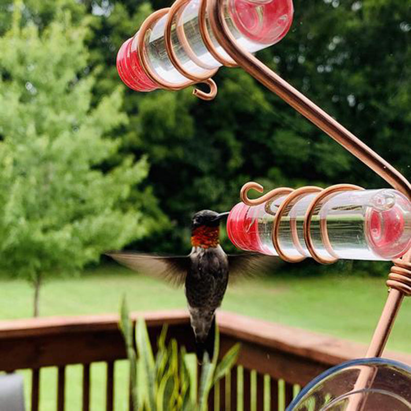 A hummingbird with iridescent plumage hovers at a red-topped feeder, wings blurred in motion, set against a background of lush green trees and a wooden deck railing.