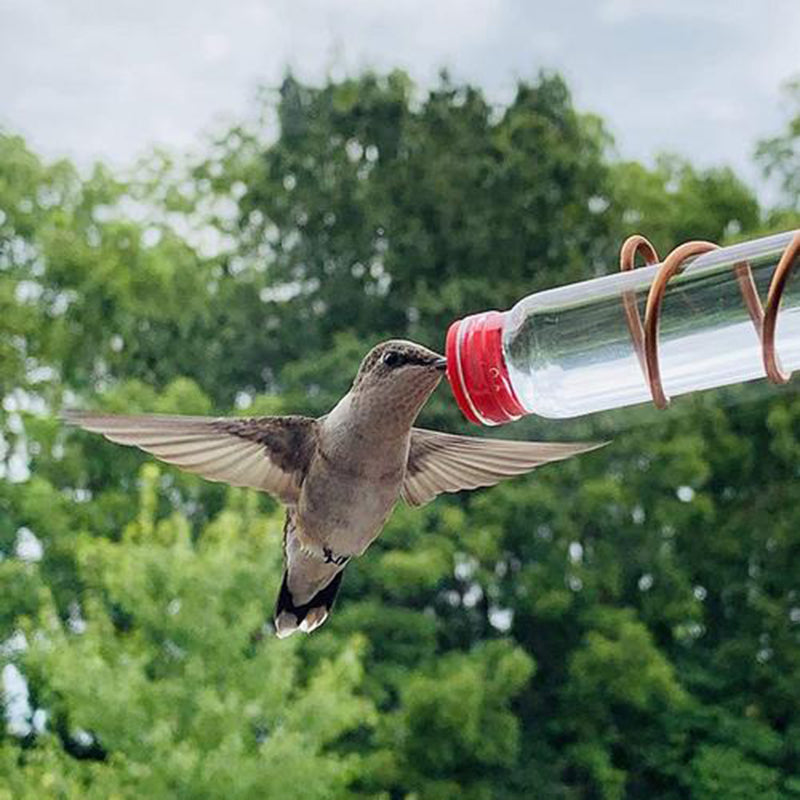 A hummingbird hovers by a glass feeder tube with copper wire, against a blurred backdrop of green foliage and a cloudy sky.