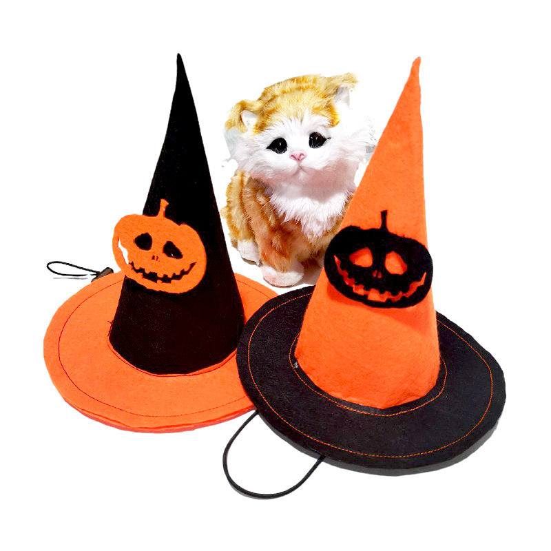 A plush cat sits behind two Halloween-themed witch hats, one black with an orange jack-o'-lantern and the other orange with a black jack-o'-lantern, both with chin straps.