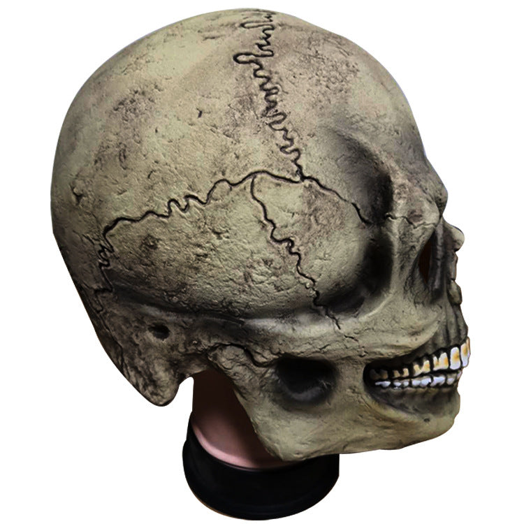 Detailed side view of a realistic, aged skull with visible sutures, textured surface, and teeth showing. The skull has a weathered appearance and sits on a black base.