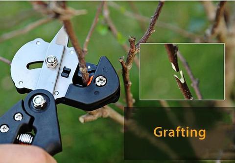 Pro Pruning Shears Grafting Tool Set