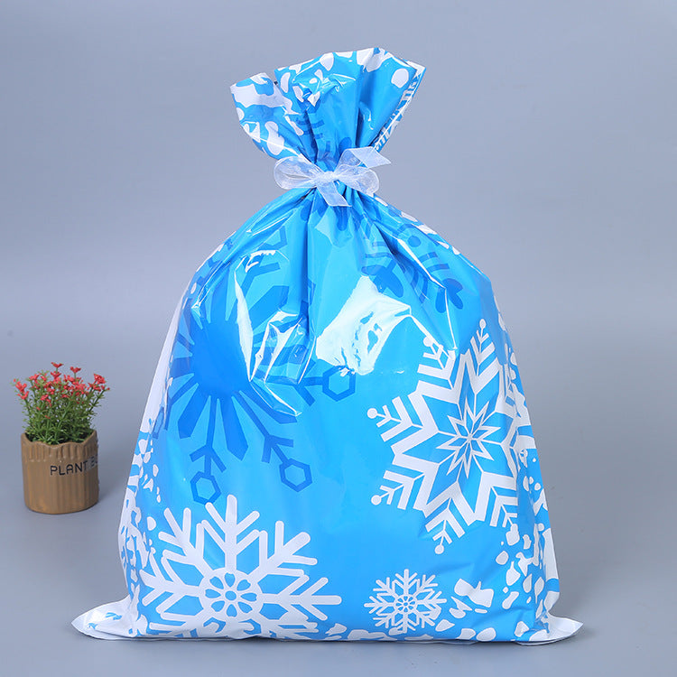 A blue gift bag adorned with white snowflake patterns and tied with a white ribbon. A small potted plant with red flowers is visible in the background against a gray backdrop.