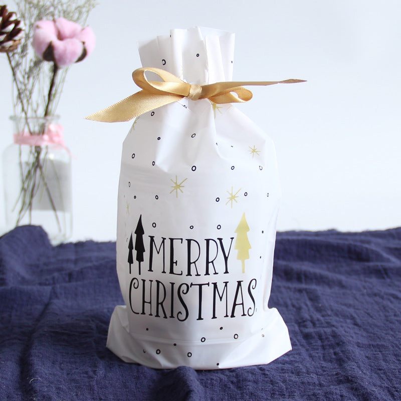A white gift bag with "Merry Christmas" text, decorated with small trees and stars, tied with a gold ribbon. In the background are dried flowers in a vase on a dark cloth.