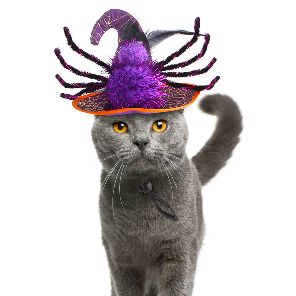 A gray cat wears a whimsical purple witch hat with a spider design and orange rim, while looking directly at the camera with bright amber eyes, against a white background.