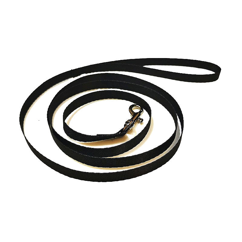 Black nylon dog leash coiled on a white background, featuring a loop handle and a metal clasp for attachment.