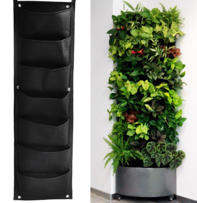 Wall-mounted black fabric planter with five pockets next to a lush vertical garden filled with various green plants. Perfect for indoor plant displays.