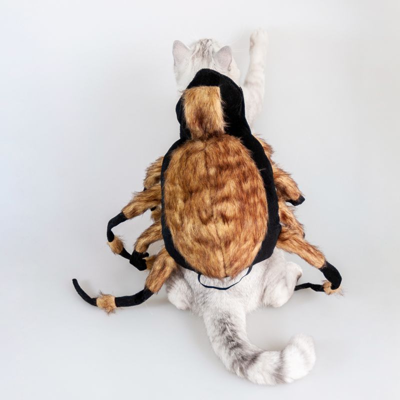Cat wearing a brown and black spider costume, viewed from the back against a plain white background. The costume features several furry legs and a large body piece.