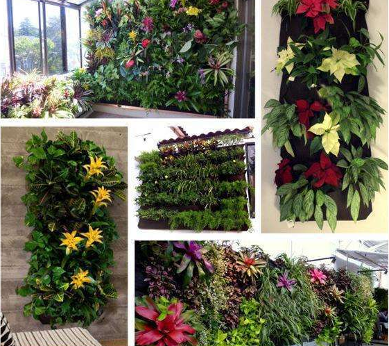 Collage of vertical gardens featuring various green and flowering plants in indoor settings, showcasing diverse foliage and colorful blooms in a range of creative wall displays.