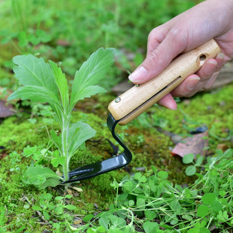 A hand uses a wooden-handled gardening tool to lift a small plant from mossy ground, surrounded by green foliage.