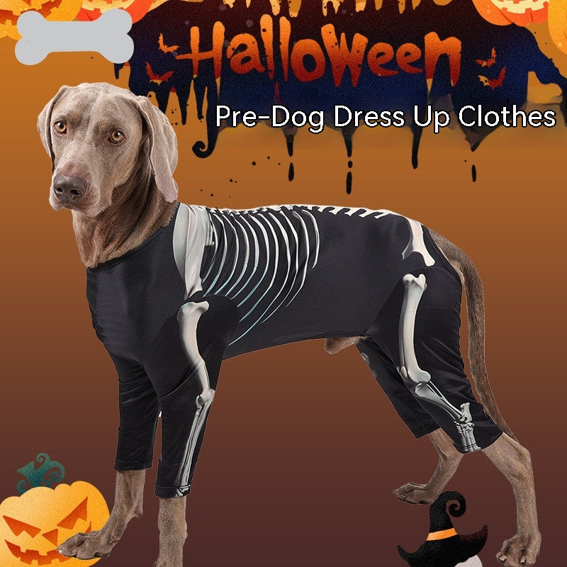 A dog wearing a black skeleton costume poses with Halloween decor in the background, featuring pumpkins and bats. Text reads "Halloween Pre-Dog Dress Up Clothes."