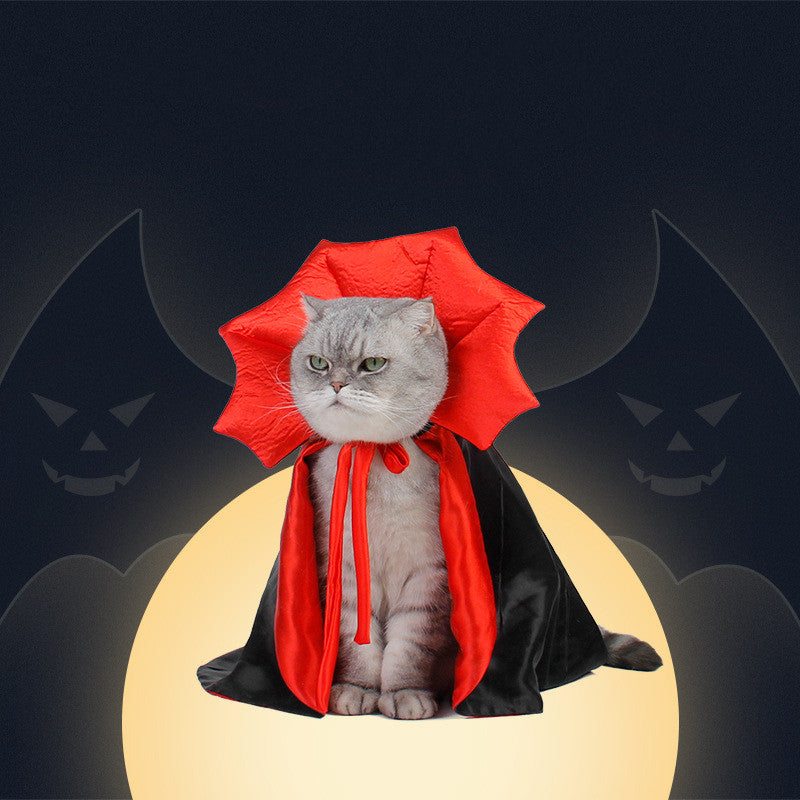 A grumpy gray cat dressed as a vampire with a red and black cape sits in front of a glowing moon, with silhouetted bat-like figures in the background.