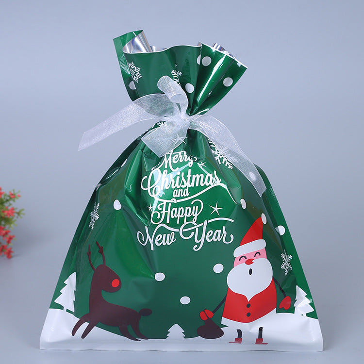 Green Christmas gift bag with a Santa and reindeer design, decorated with white polka dots and snowflakes. Tied with a white ribbon, it reads “Merry Christmas and Happy New Year.”