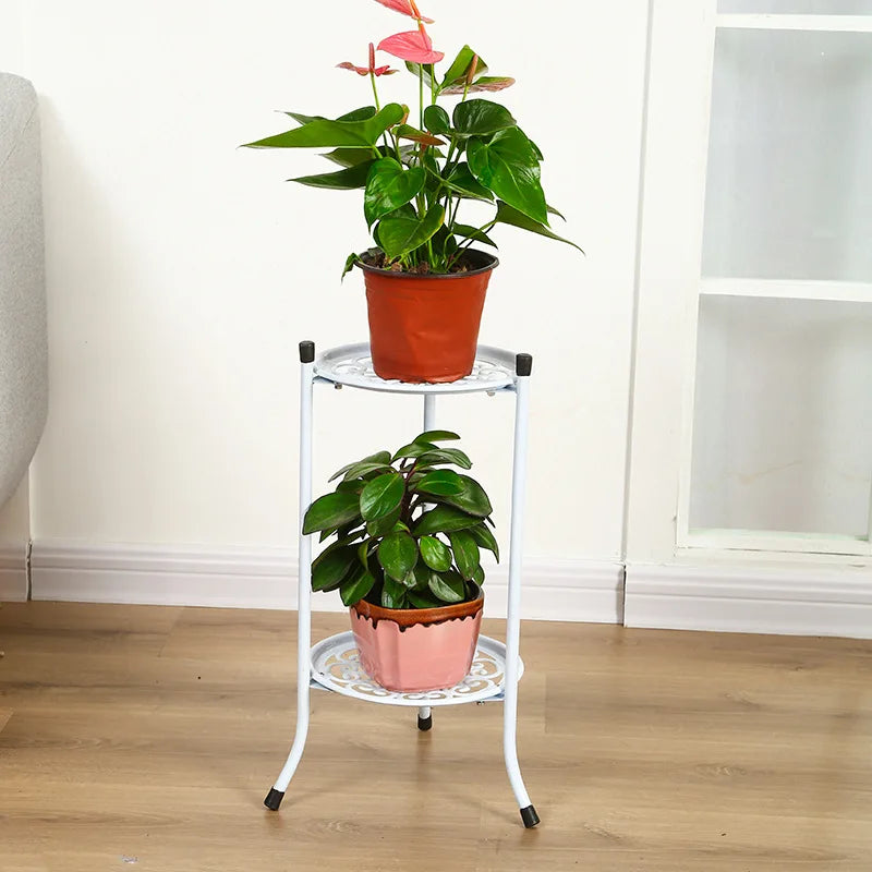 image_1