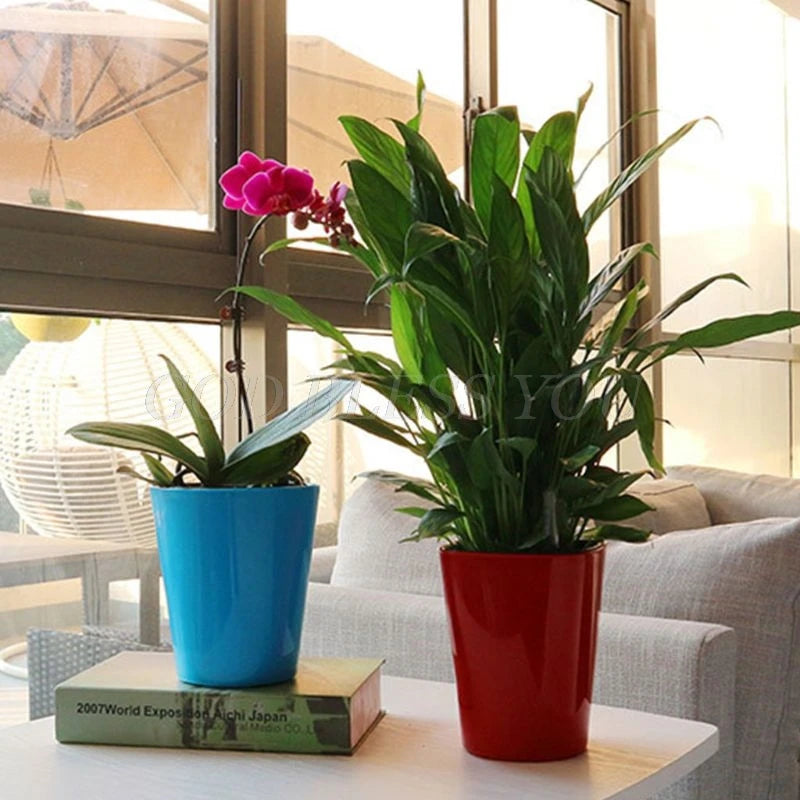 A table with two potted plants: a blooming orchid in a blue pot on a book, and a lush green plant in a red pot, set against a window with outdoor views.