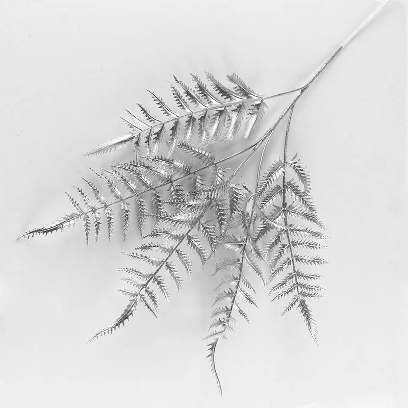 Delicate silver fern leaves with intricate, serrated edges against a light background. The fronds are elegantly arranged, showcasing their fine, lacy texture.