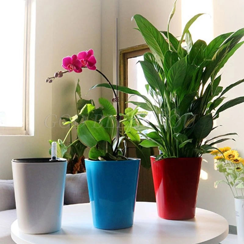 Three colorful potted plants on a round table by a window. A pink orchid in a blue pot, a leafy plant in a red pot, and an empty gray pot are visible. Sunlight filters in.