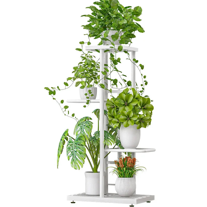 image_7