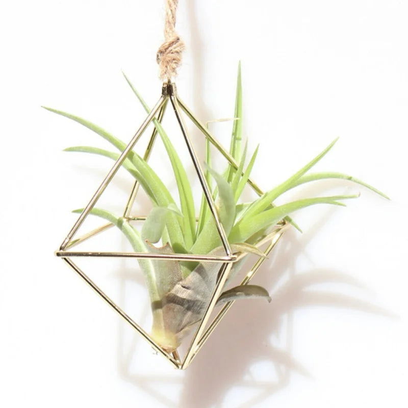 Decorative Hanging Planters