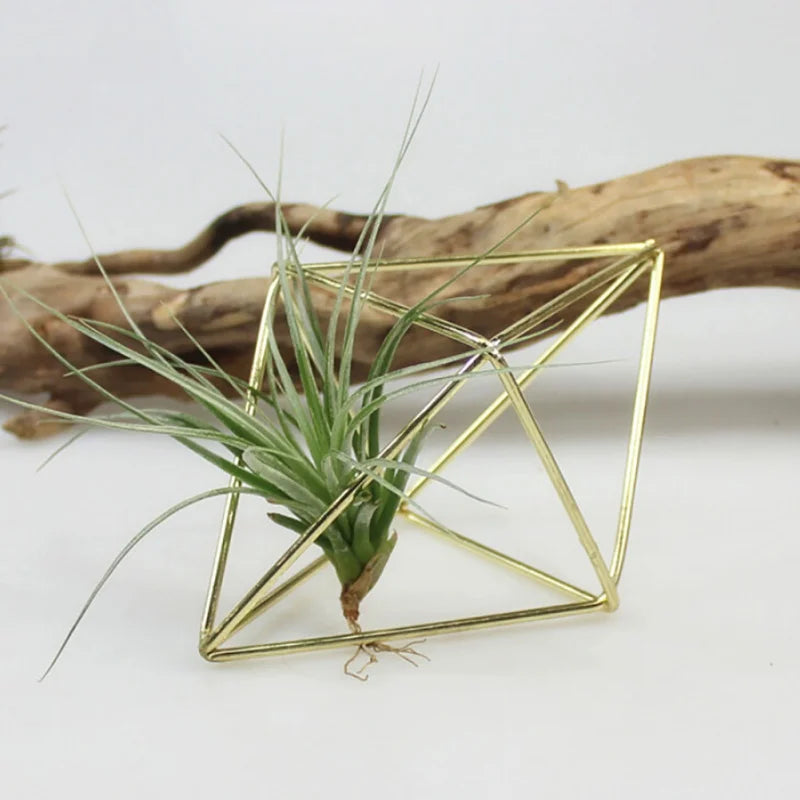 Decorative Hanging Planters