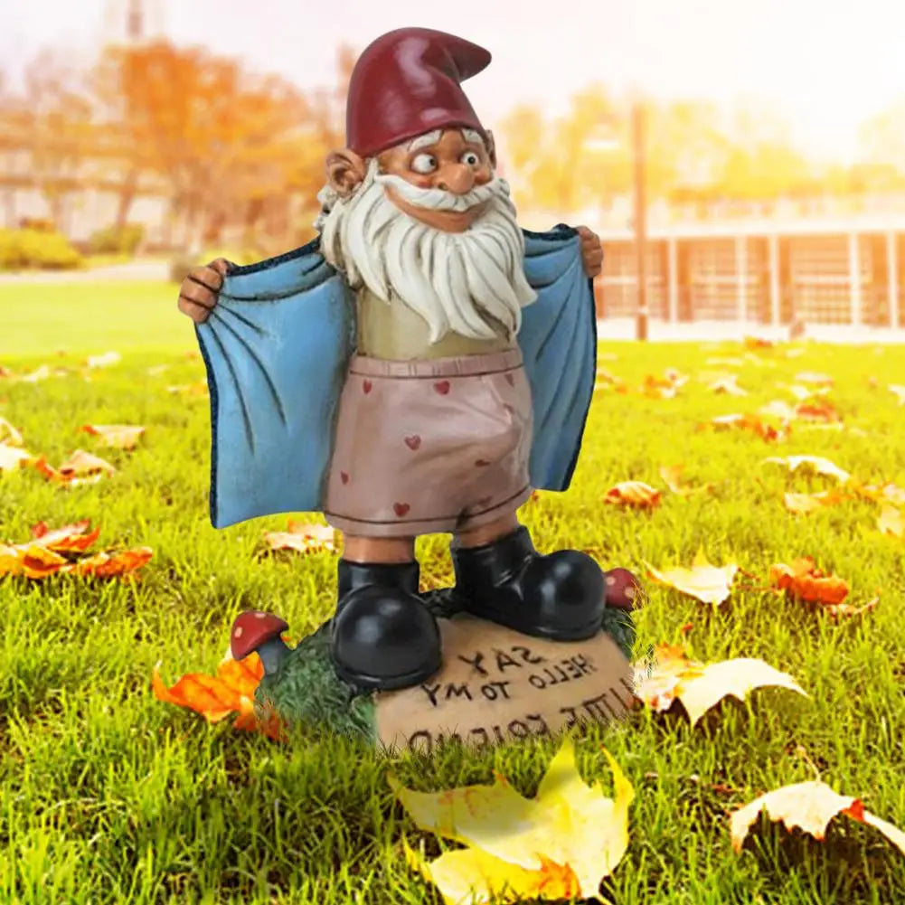 Garden gnome with a red hat and white beard playfully flashing in heart-print boxers stands on grass with fallen leaves, holding open blue coat. Sunny park setting in the background.
