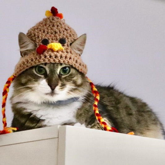 A fluffy cat wearing a crochet chicken hat with yellow and red accents sits on a white surface, gazing directly at the camera.