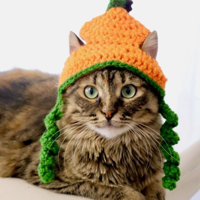 Fluffy brown tabby cat wearing an orange knit hat with green accents, resembling a pumpkin, sitting on a white surface with a curious expression.