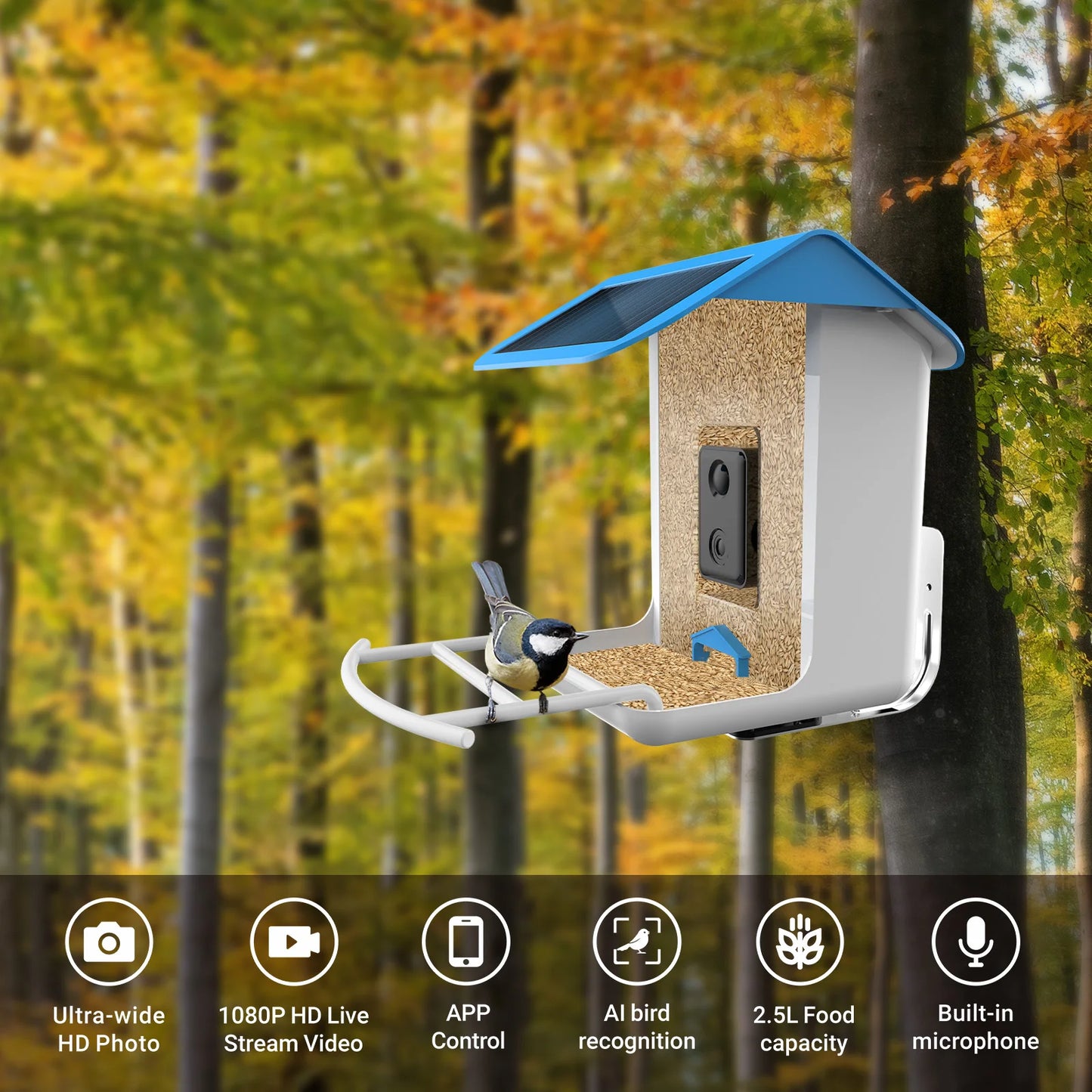 New Bird Feeder With Camera Bird Feeders House With Wireless WiFi Bird Camera 1080p For Outdoor Bird Watching Bird Feeder Aves