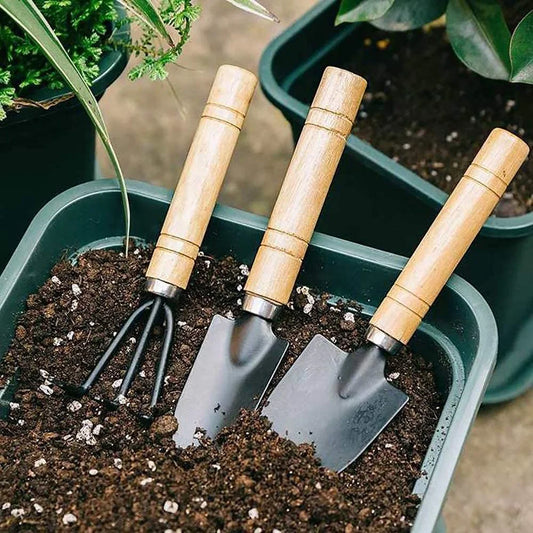 Three gardening tools with wooden handles, including a rake and two shovels, are partially buried in dark soil within a green planter. Nearby, leafy plants are visible.