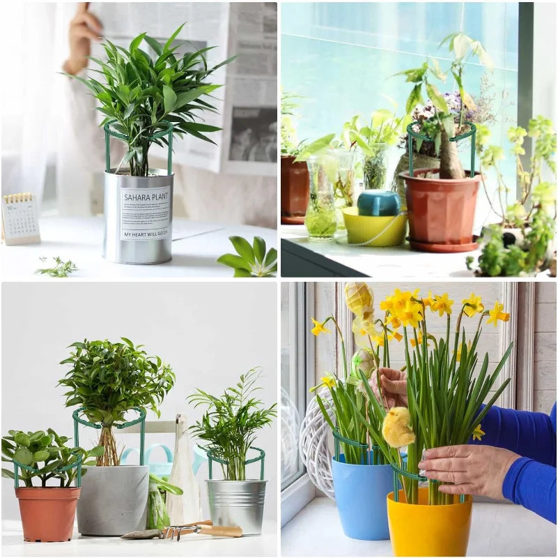 Four images of various indoor plants. Top left: plant in a metal container; top right: plants by a sunny window; bottom left: small plants in pots; bottom right: yellow daffodils being arranged.
