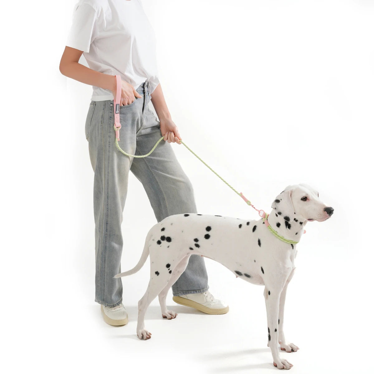 Reflective Nylon Dog Collar & Leash Set