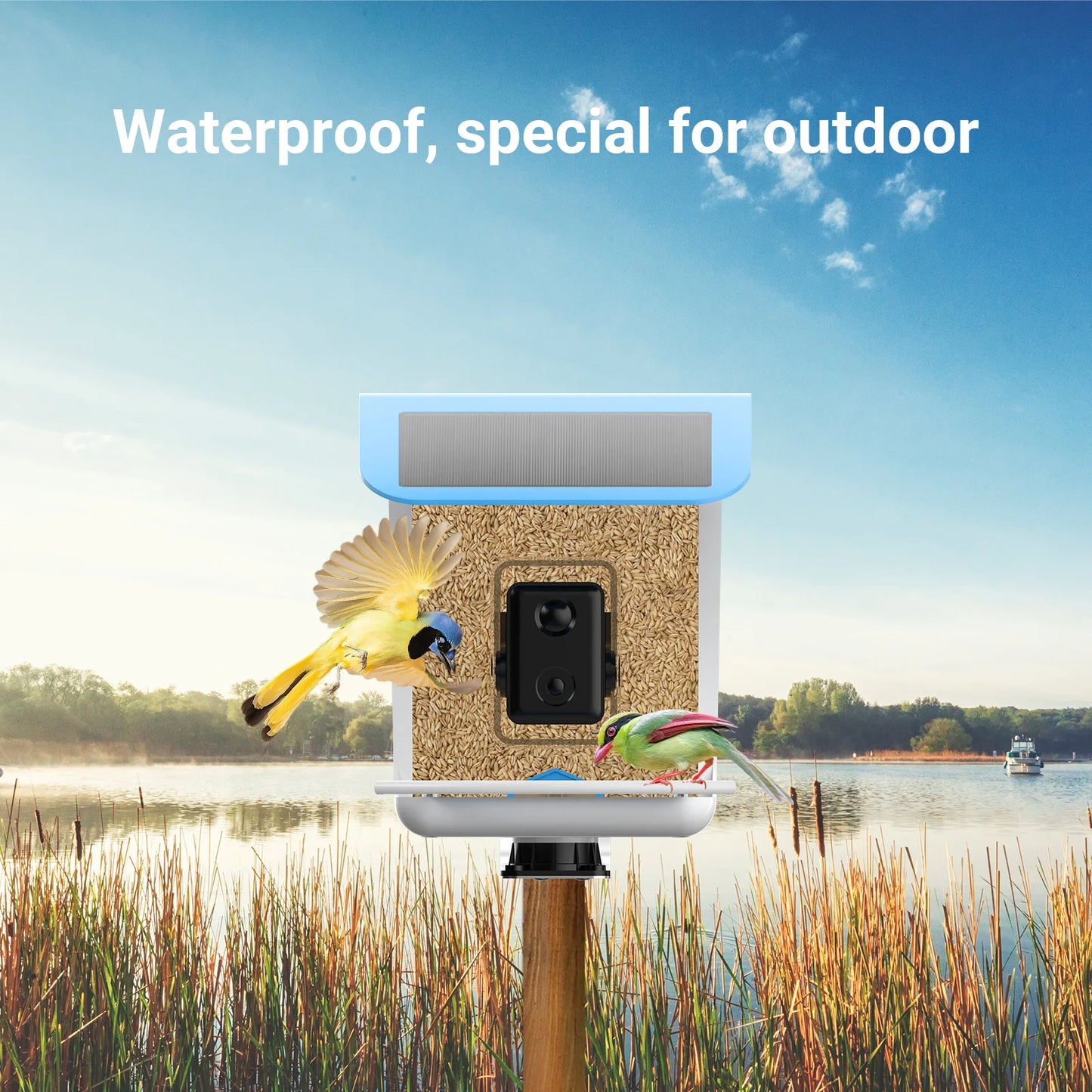 New Bird Feeder With Camera Bird Feeders House With Wireless WiFi Bird Camera 1080p For Outdoor Bird Watching Bird Feeder Aves