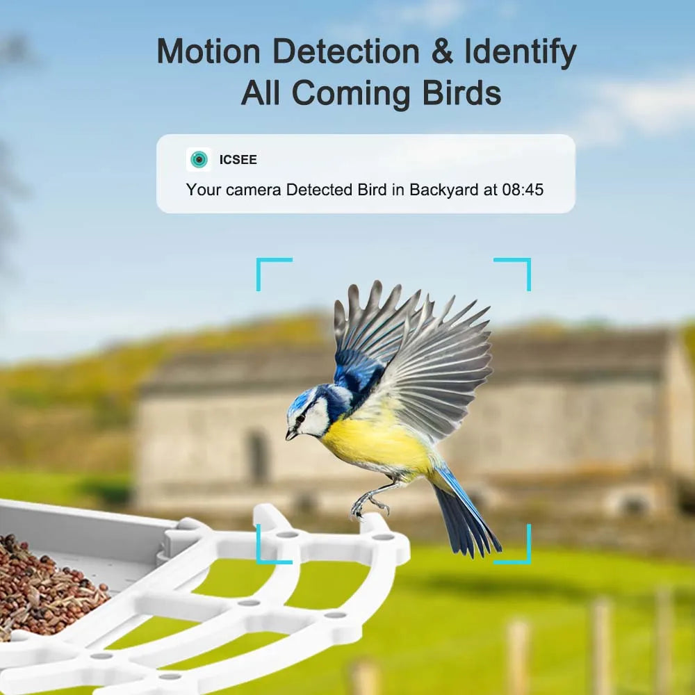 Wireless Solar Bird Feeder With Camera Outdoor Auto Capture 1080P Bird Feeders House With Cameras AI-Smart Identify Bird Species