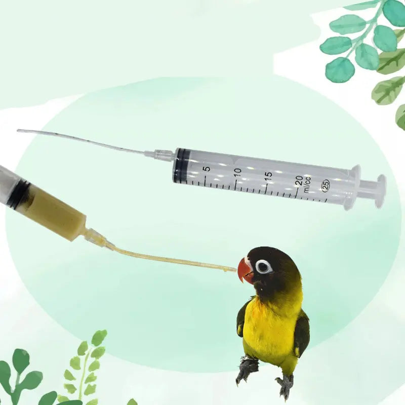 A small parrot is being fed with a syringe. A thin tube extends from the syringe to the bird's beak. The background is light green with leaf patterns.