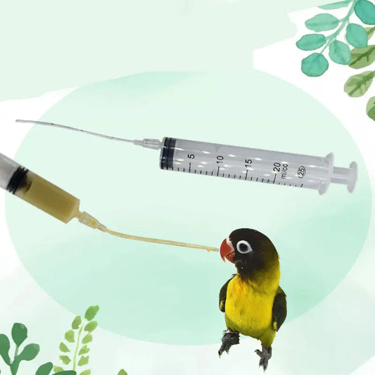 A small parrot is being fed with a syringe. A thin tube extends from the syringe to the bird's beak. The background is light green with leaf patterns.