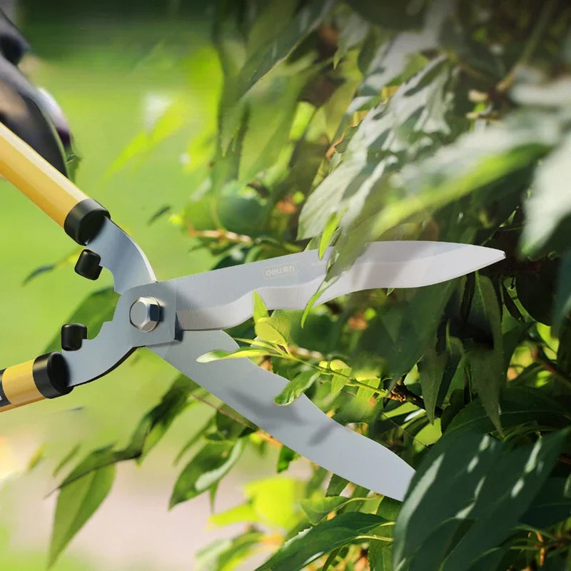 A pair of garden shears with yellow handles trimming green foliage in bright natural light.