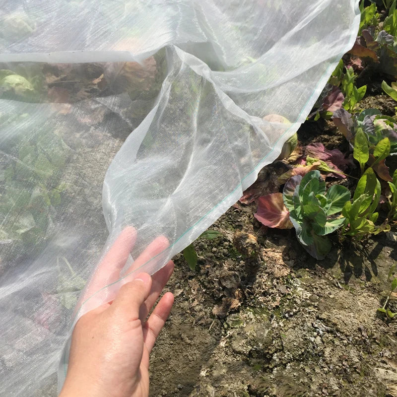 A hand holds a transparent protective mesh sheet over leafy green plants in a garden, providing shielding from pests and environmental elements.