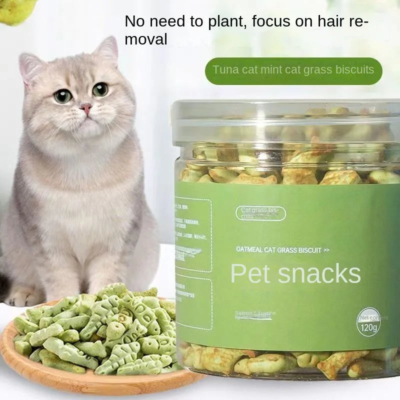 A jar of oatmeal cat grass biscuits labeled "Pet snacks" next to a wooden plate filled with snacks. A cat with gray fur sits nearby. Text reads "No need to plant, focus on hair removal."