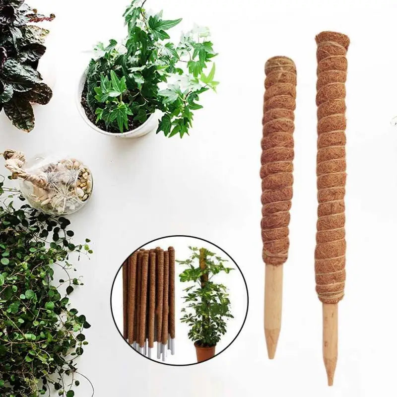 30cm Plant Climbing Coir Totem Pole